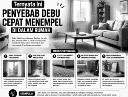 Ternyata Ini Penyebab Debu Cepat Menempel di Dalam Rumah