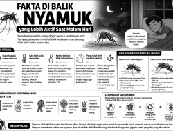 Fakta di Balik Nyamuk yang Lebih Aktif Saat Malam Hari